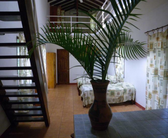Finca Buena Fuente Residence Hotel Нікоя Екстер'єр фото